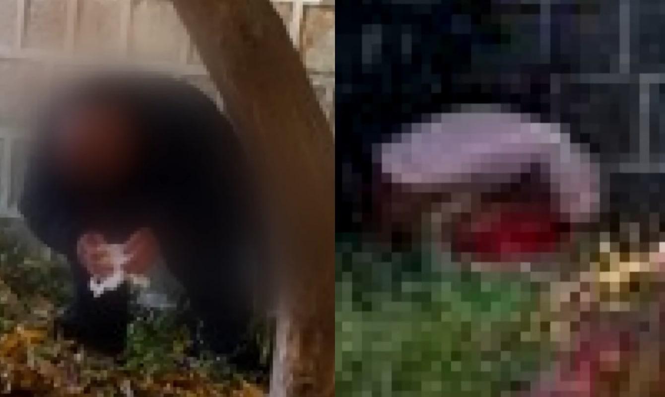 본문 이미지 - (JTHC '사건반장')