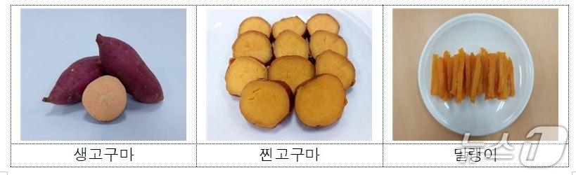 본문 이미지 - 2025년산 신품종 고구마 ‘호풍미’.&#40;강원도농업기술원 제공, 재판매 및 DB금지&#41;