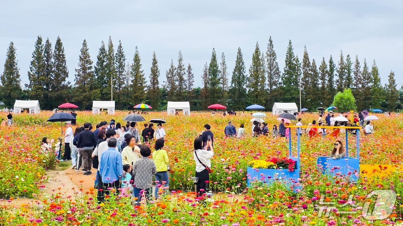 계양아라온 가을꽃 축제(인천 계양구 제공/뉴스1)