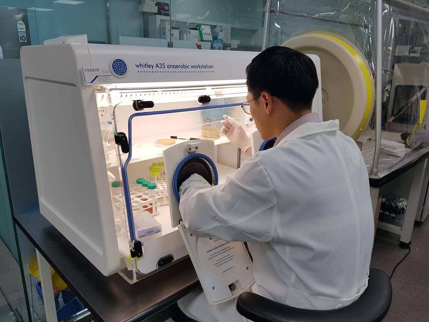 본문 이미지 - 지놈앤컴퍼니 미생물팀 연구원이 실험을 하고 있다.&#40;지놈앤컴퍼니 제공&#41;/뉴스1