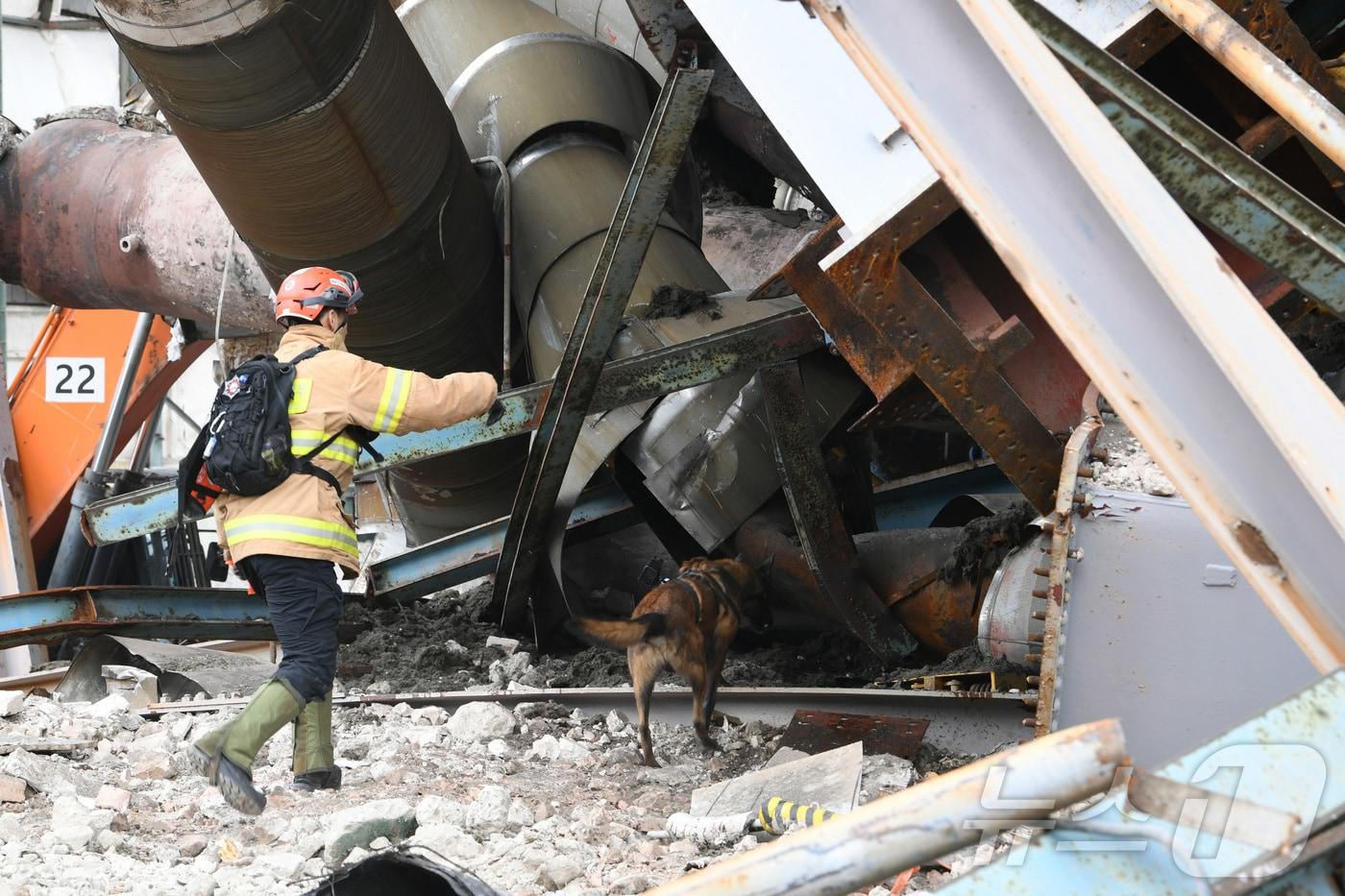 12일 오전 울산화력발전소 붕괴 사고 현장에서 119구조견과 핸들러가 위치가 확인되지 않은 매몰자를 찾기 위해 수색활동을 하고 있다. &#40;소방청 제공. 재판매 및 DB 금지&#41; 2025.11.12/뉴스1