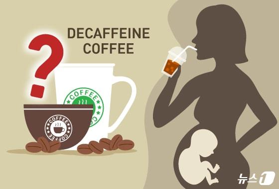 본문 이미지 - ⓒ News1 김지영 디자이너