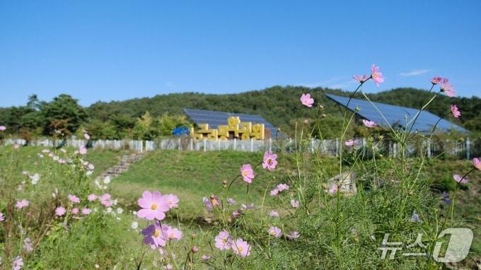 본문 이미지 - 노근리평화공원 &#40;영동군 제공. 재판매 및 DB금지&#41; /뉴스1 