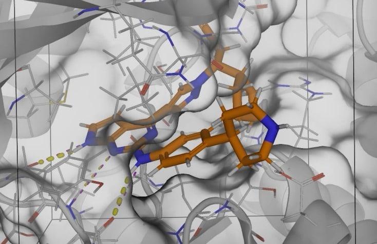 본문 이미지 - 히츠가 개발한 AI 신약개발 플랫폼 기술 '하이퍼랩' 활용 모습.(히츠 제공)/뉴스1