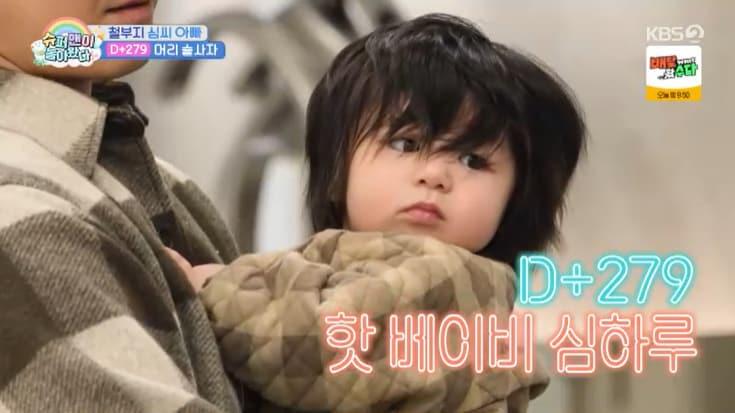 본문 이미지 - KBS 2TV '슈퍼맨이 돌아왔다' 캡처