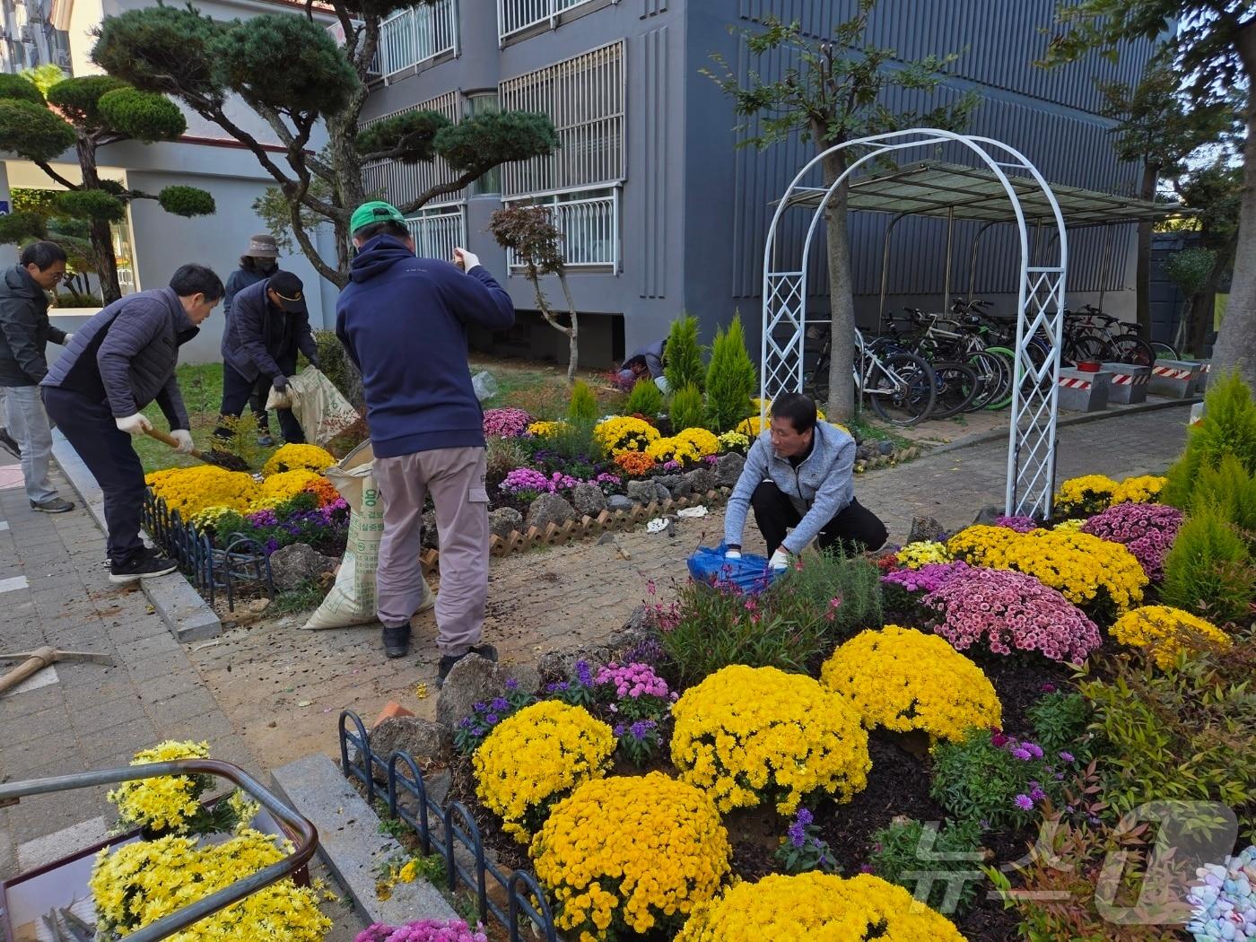 본문 이미지 - 광주 서구 풍암동 중흥2단지 아파트 주민들이 광주 도시농부축제 행사장에 전시됐던 율마, 국화 등을 기부받아 아파트 단지내 기부 정원으로 조성하고 있다.&#40;광주시 제공. 재판매 및 DB 금지&#41; 