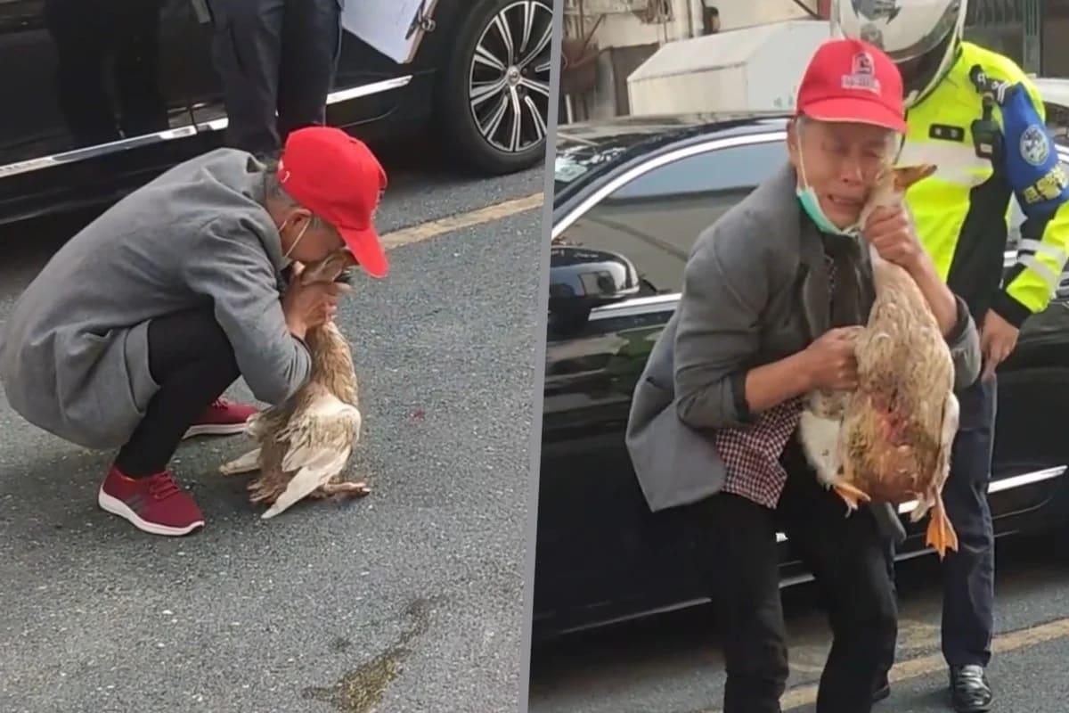 본문 이미지 - &#40;SCMP 갈무리&#41;