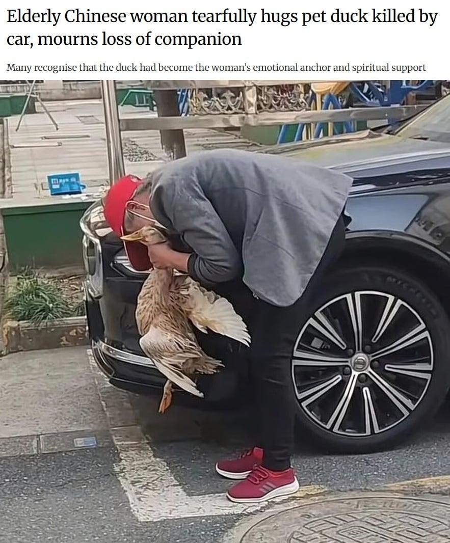 &#40;SCMP 갈무리&#41;