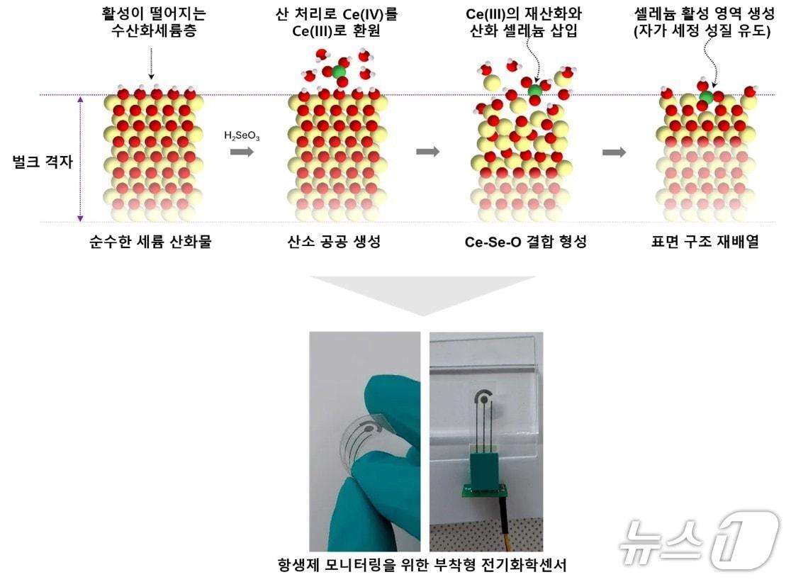 본문 이미지 - 충남대, &#39;자가 세정&#39; 항생제 감지 센서 개발 연구 피규어 사진. &#40;충남대 제공. 재판매 및 DB금지&#41; 2025.11.13/뉴스1