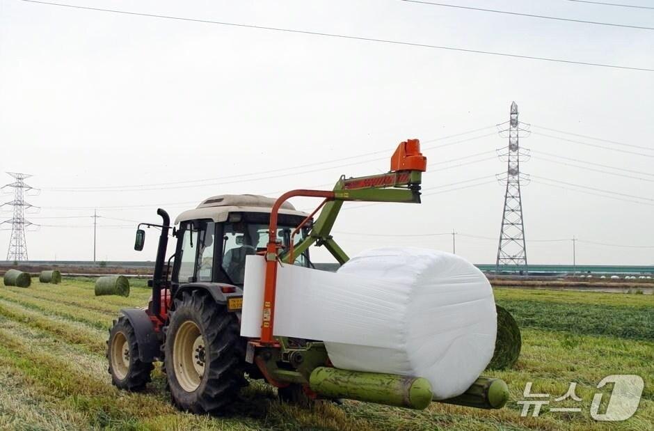 본문 이미지 - 전북 정읍 친환경들녘영농조합법인이 농림축산식품부 주관 ‘2026년 조사료 전문단지 공모사업’에 최종 선정됐다.&#40;정읍시 제공. 재판매 및 DB금지&#41;/뉴스1