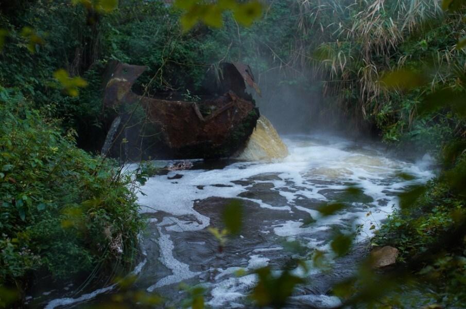 본문 이미지 - 마리-린 키플리, 낚시를 떠난 할머니, 2021-2025, 한지, 건조식물, HD, 단채널 비디오, 컬러, 5분 49초 &#40;국립현대미술관 제공&#41;
