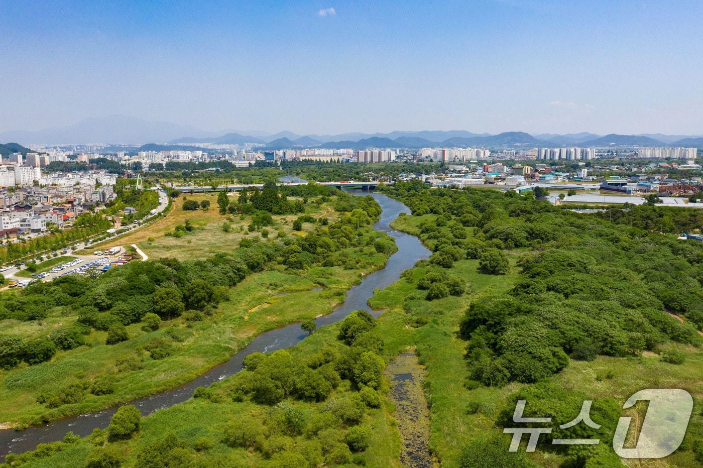 광주시 국가습지인 장록습지 전경.&#40;광주시 제공. 재판매 및 DB 금지&#41; 