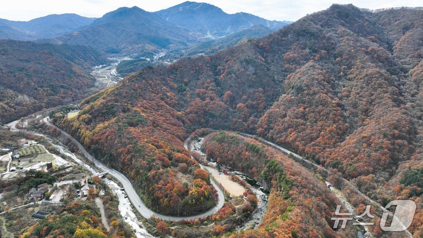 전북 무주 구천동 자연품길 경관.&#40;무주군 제공. 재판매 및 DB 금지&#41;