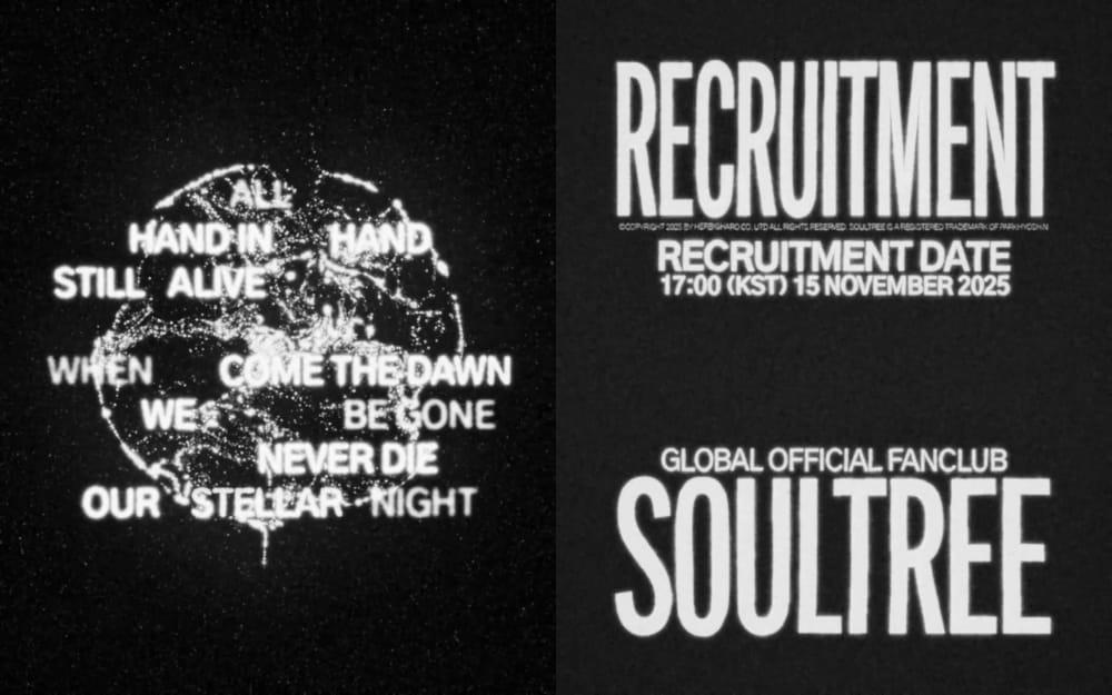 본문 이미지 - 허비그하로 제공