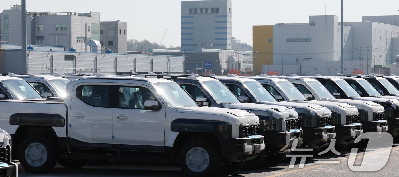 경기 평택시 포승읍 평택항에 수출용 차량이 세워져 있는 모습. 2025.11.14/뉴스1 ⓒ News1 김영운 기자