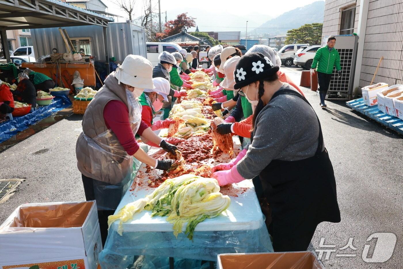 본문 이미지 - 충북 영동군 황간면 새마을지도자협의회 부녀회원들이 김장을 담고 있다.  (영동군 제공. 재판매 및 DB금지) /뉴스1