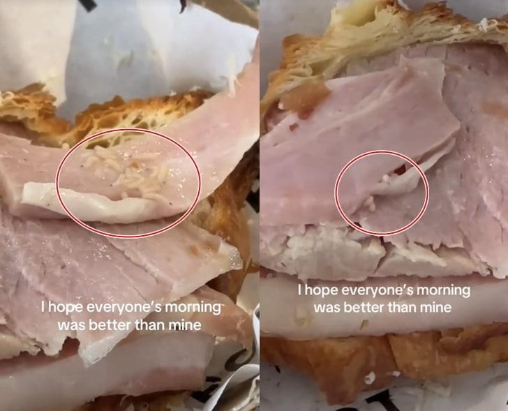 본문 이미지 - (틱톡 갈무리)