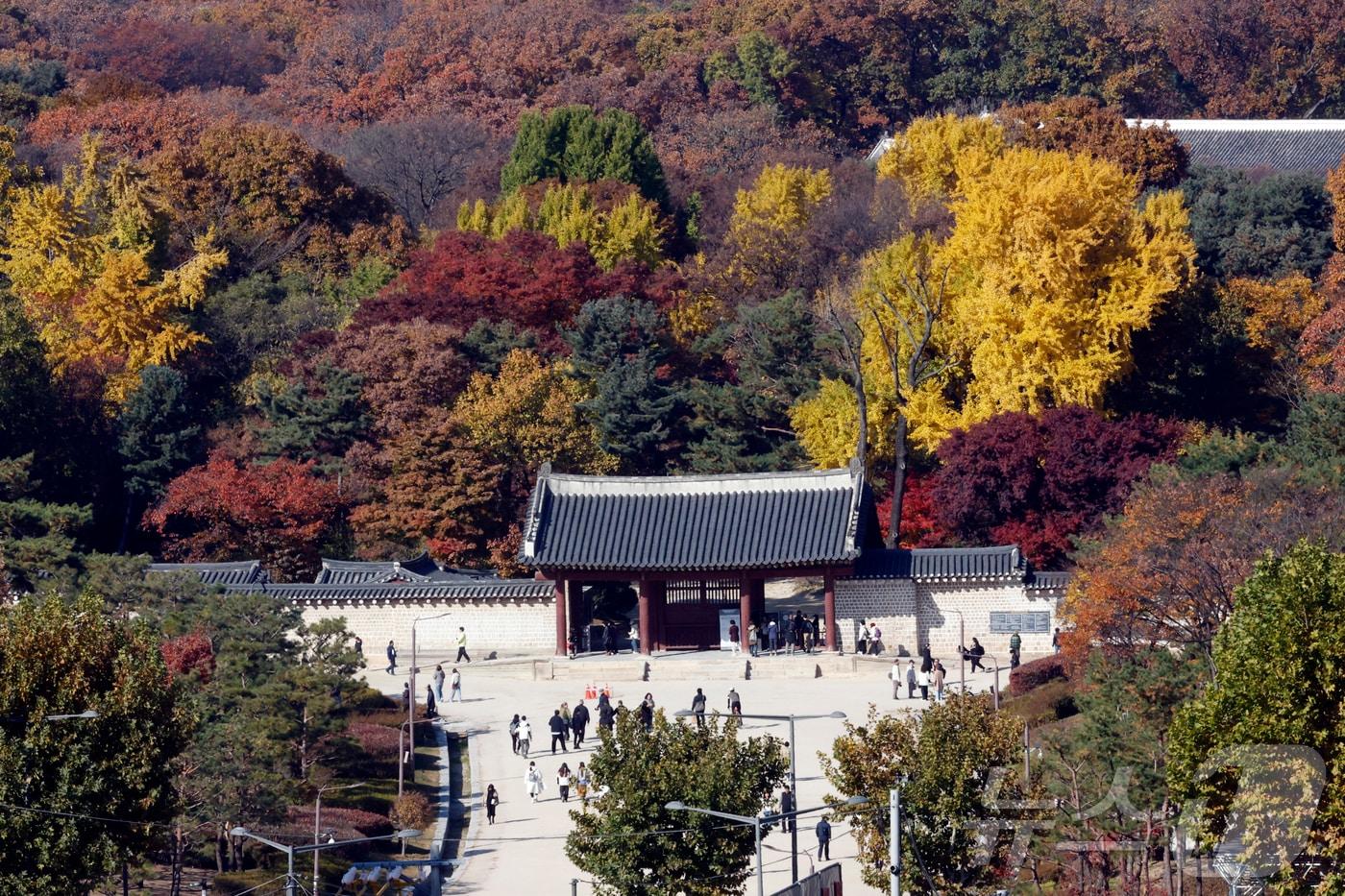  서울 종로구 종묘 모습. 2025.11.14/뉴스1 ⓒ News1 박정호 기자