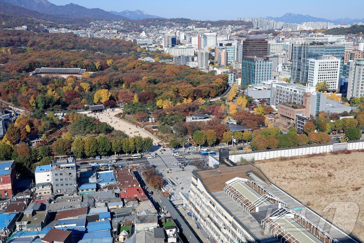 서울 종로구 종묘와 세운 4구역 재개발 공사 현장 모습. 2025.11.14/뉴스1 ⓒ News1 박정호 기자