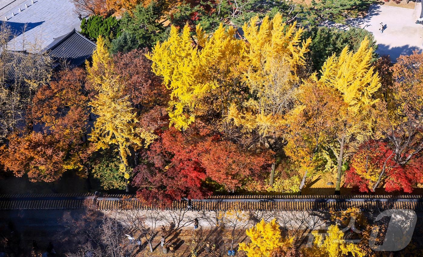 자료사진/뉴스1 ⓒ News1 