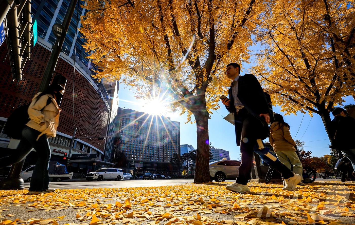 온화한 날씨를 보인 14일 오후 서울 중구 서울시청 인근 거리에 단풍이 물든 가운데 시민들이 발걸음을 옮기고 있다. 2025.11.14/뉴스1 ⓒ News1 김진환 기자