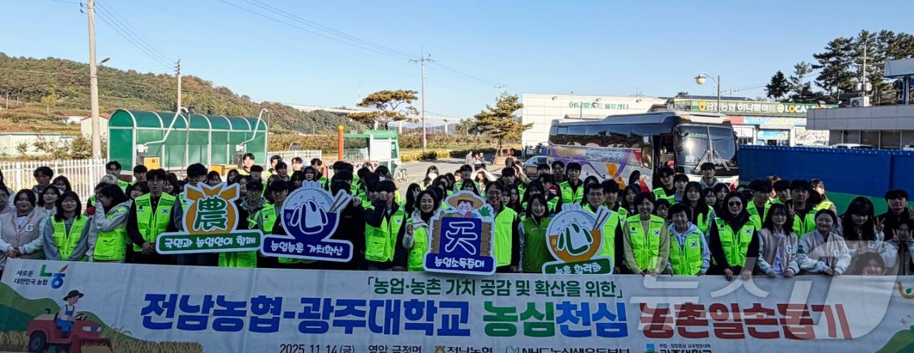 본문 이미지 - 농협전남본부와 광주대는 14일 영암 금정면에서 대봉감 수확 일손돕기를 실시했다.&#40;농협 제공, 재배포 및 DB 금지&#41;/뉴스1