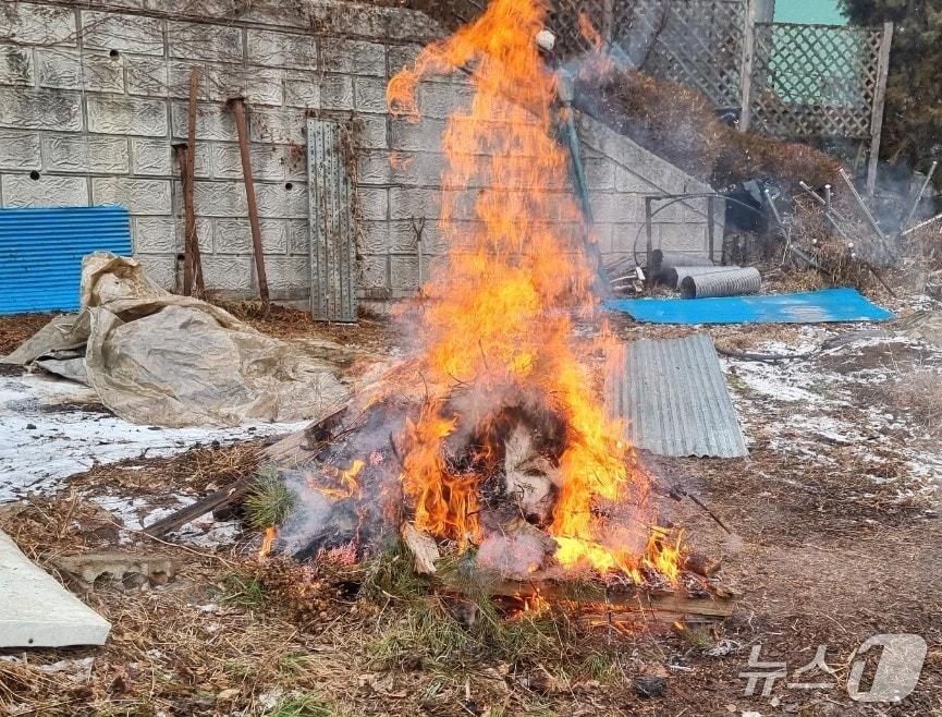 본문 이미지 - 불법소각 현장. &#40;의왕시 제공. 재판매 및 DB 금지&#41; 2025.11.14/뉴스1