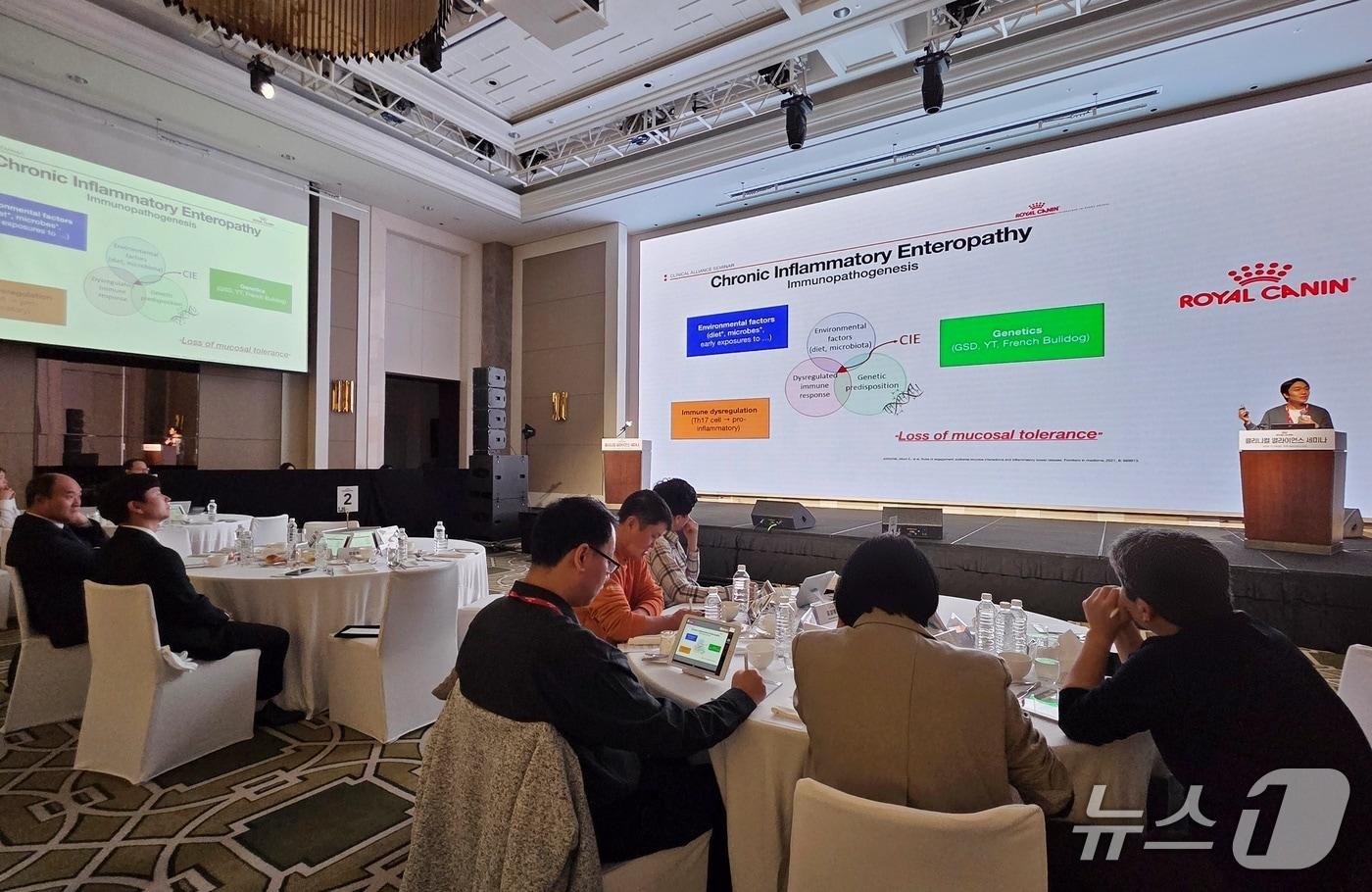 '로얄캐닌 클리니컬 얼라이언스 세미나'가 9일 인천에서 진행됐다. ⓒ 뉴스1
