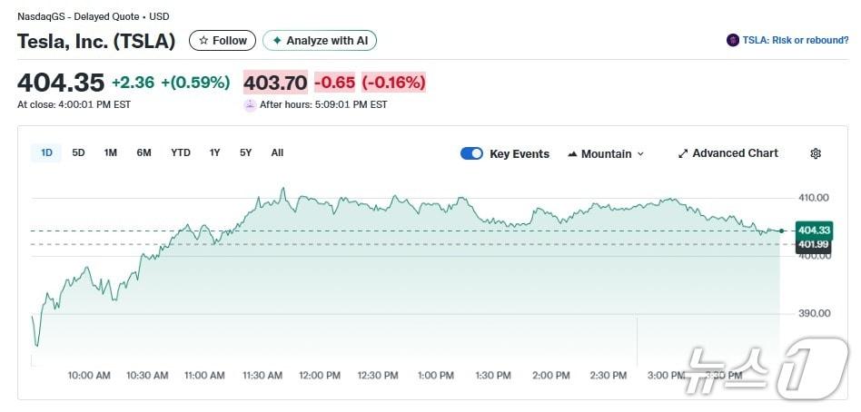 본문 이미지 - 테슬라 일일 주가추이 - 야후 파이낸스 갈무리