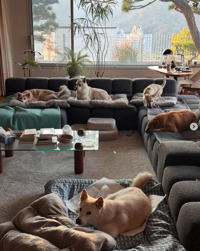 본문 이미지 - 이상순 인스타그램