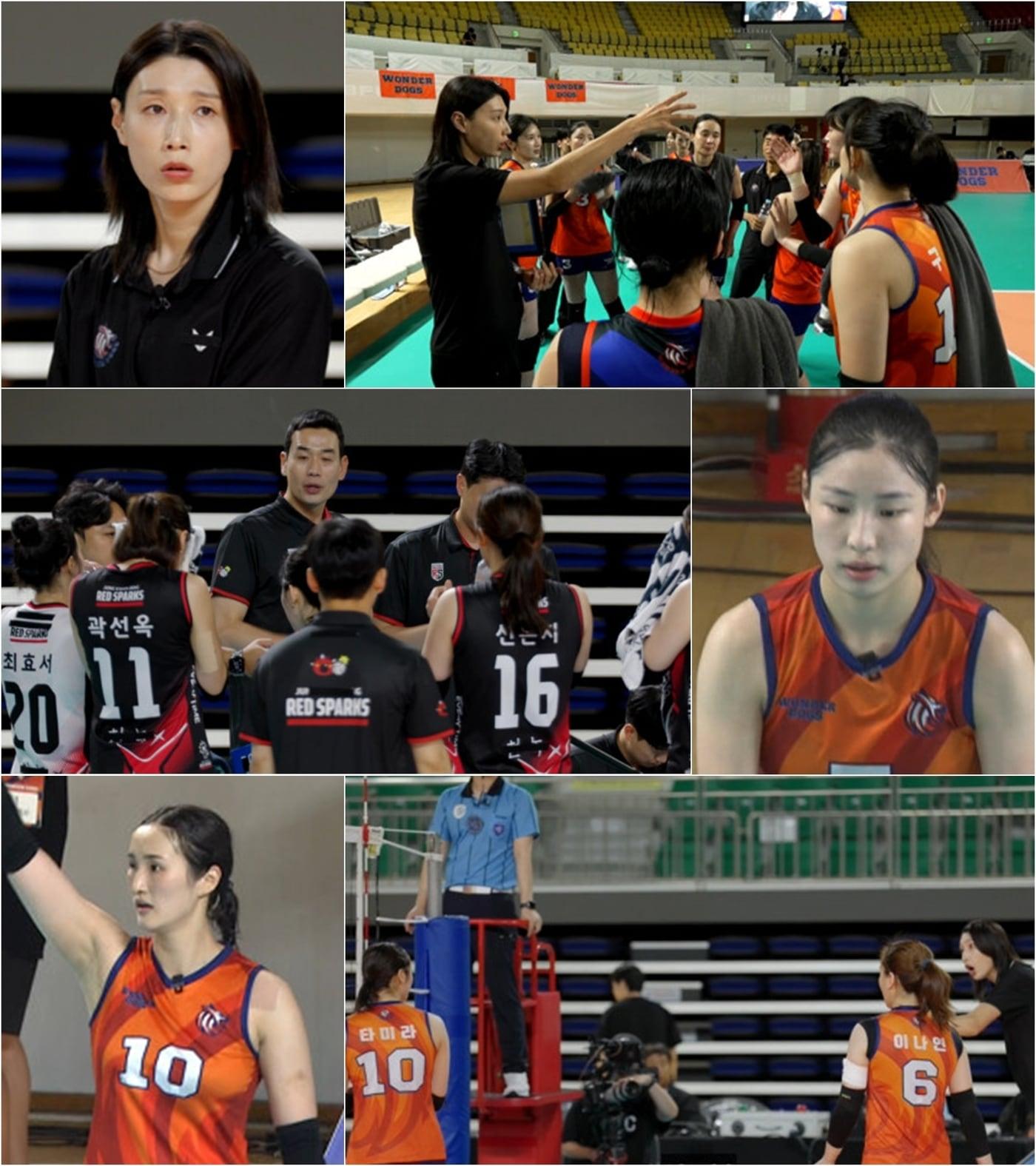 본문 이미지 - MBC