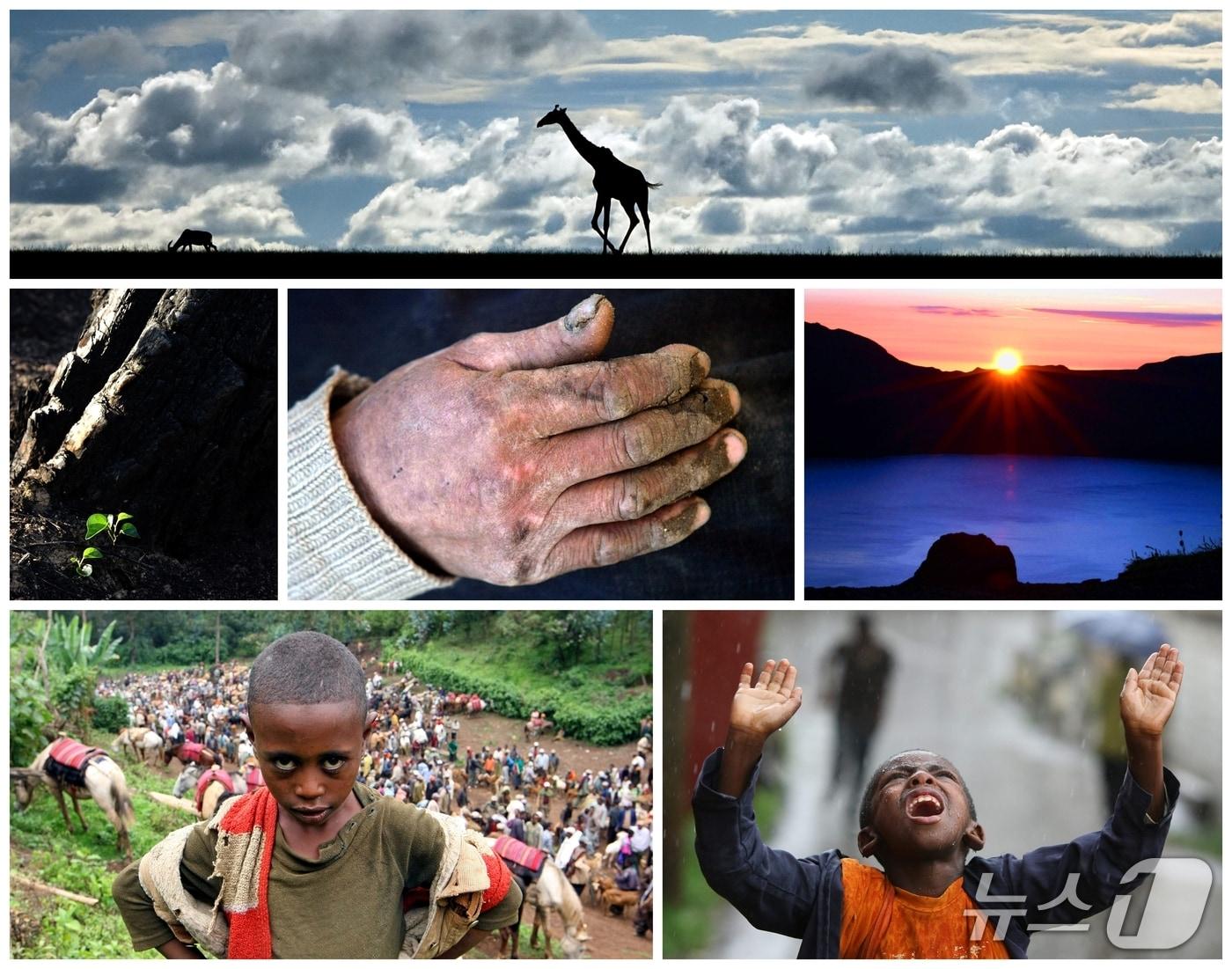 본문 이미지 - 영남일보 박진관 기자 사진전 작품/뉴스1