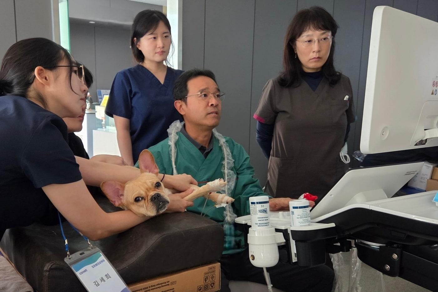 이희천 경상대 수의과대학 수의영상학과 교수(오른쪽에서 두 번째)가 16일 삼성 소노벳 아카데미에서 반려동물 심장 초음파 실습을 지도하고 있다. ⓒ 뉴스1 한송아 기자