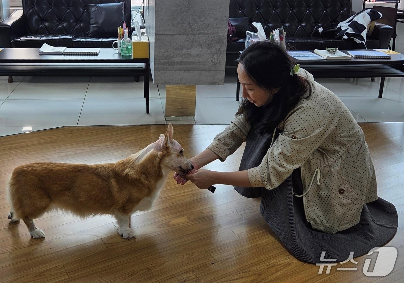 수술을 마친 반려견의 재활을 돕고 있는 김현주 감독(보호자 제공) ⓒ 뉴스1