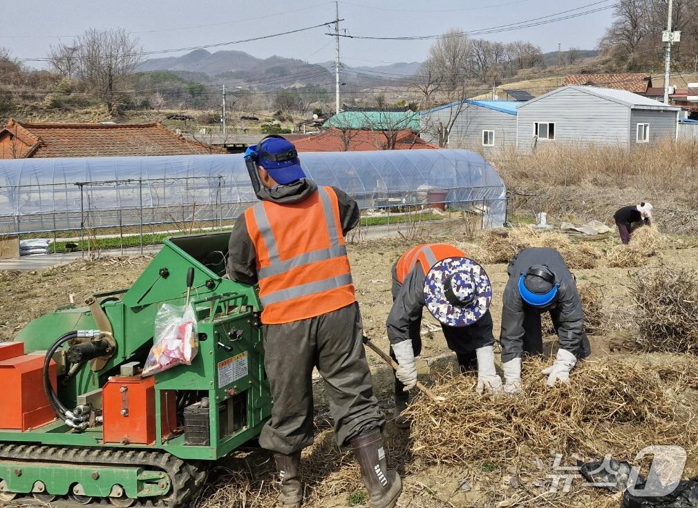 본문 이미지 - 잔가지 파쇄 장면(보은군 제공. 재판매 및 DB금지) /뉴스1 