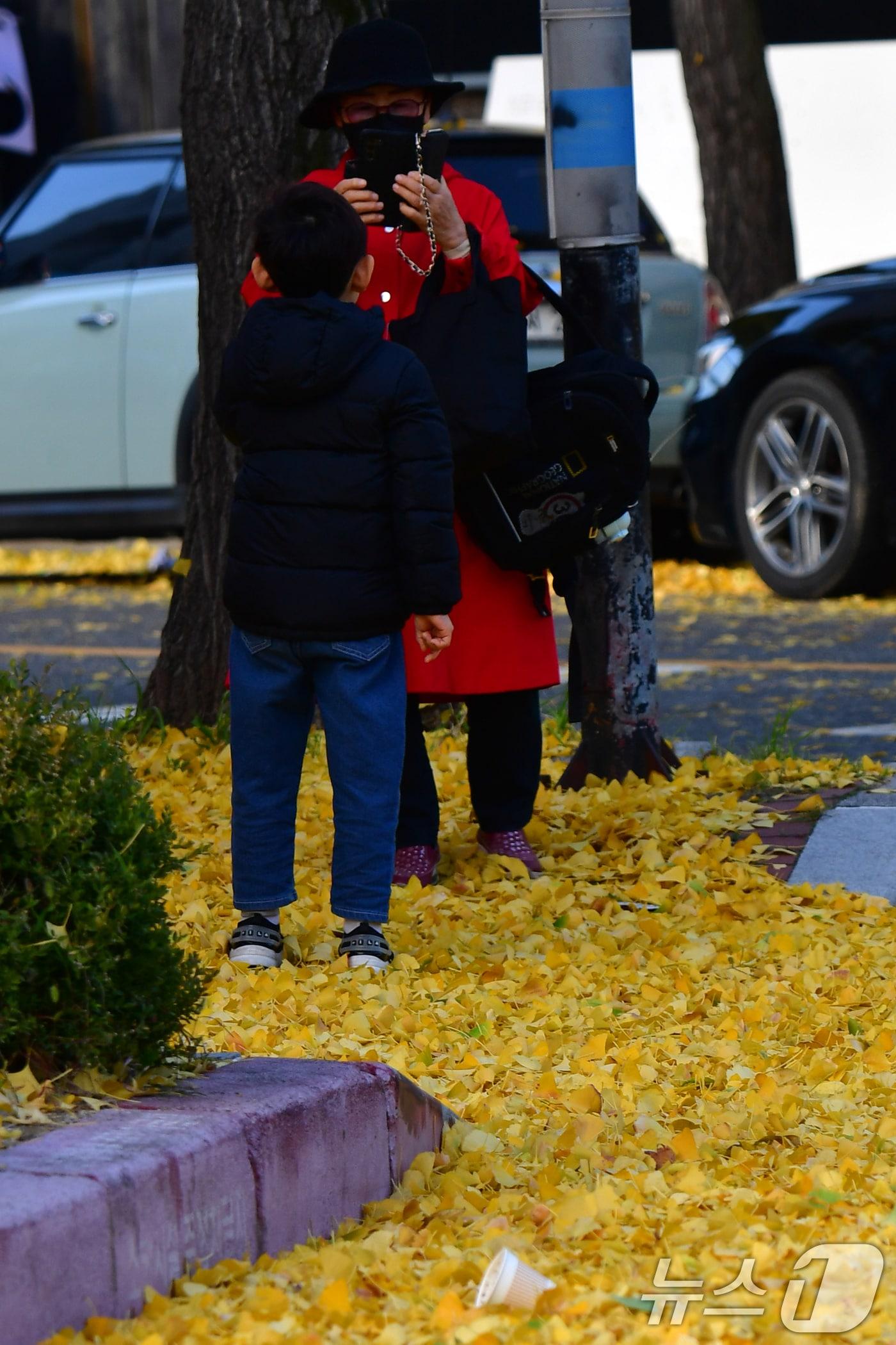 본문 이미지 - 지난 17일 경북 포항시 북구 죽도동 도로에서 한 시민이 도로에 쌓인 은행잎을 배경으로 사진을 찍고 있다. ⓒ News1 최창호 기자