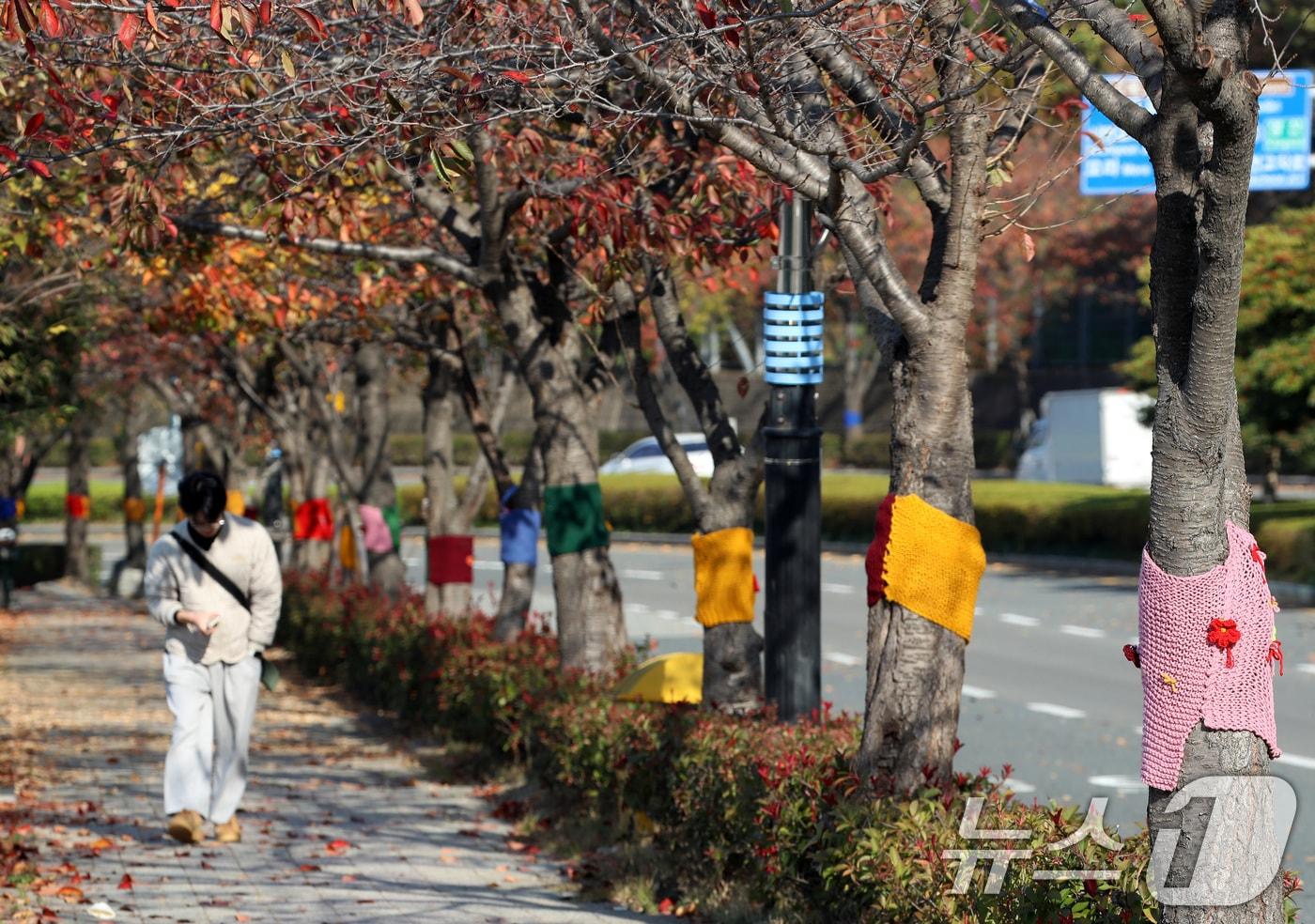 자료사진/뉴스1 ⓒ News1