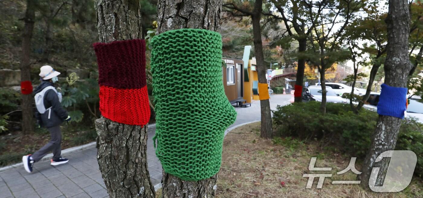 부산 북구 구포무장애숲길 인근 가로수에 뜨개옷이 입혀져 있다.ⓒ News1 윤일지 기자