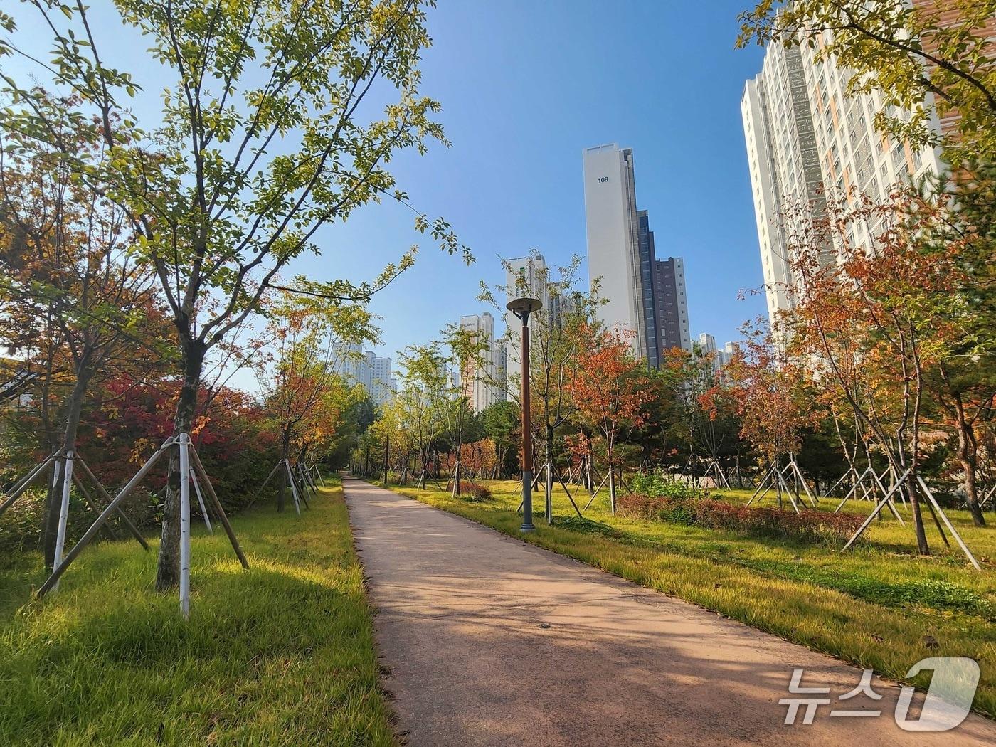 본문 이미지 - 경북 구미시 구미국가산업단지 미세먼지 차단숲&#40;산림청 제공.재판매 및 DB금지&#41;/뉴스1