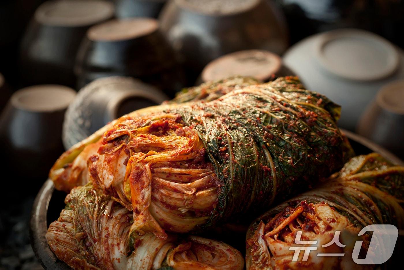 본문 이미지 - 한국 전통 발표식품 김치.(세계김치연구소 제공. 재판매 및 DB 금지) 