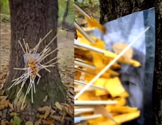 본문 이미지 - &#40;JTBC &#39;사건반장&#39; 갈무리&#41;