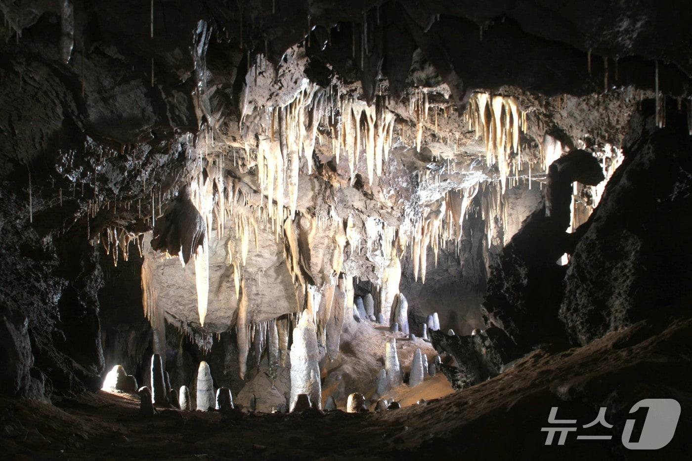 날씨와 관계없이 15도 유지하는 단양 온달동굴.&#40;단양군 제공. 재판매 및 DB금지&#41; /뉴스1  
