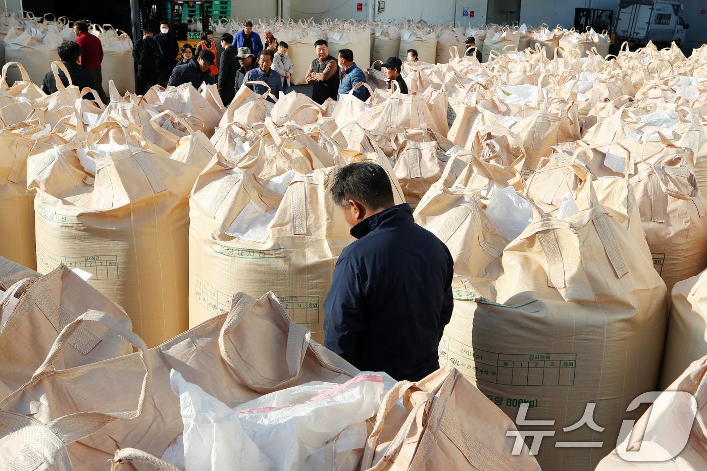 본문 이미지 - 대구 달성군 유가읍 유가농협 본점에서 '2025년산 공공비축미곡(건조 벼) 매입'이 진행되고 있다. ⓒ 뉴스1 공정식 기자