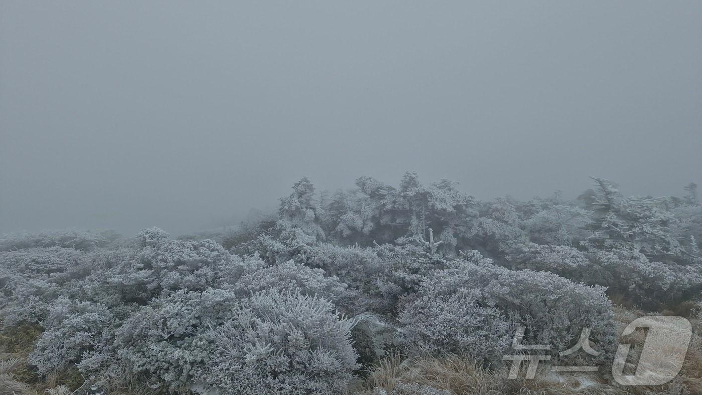 한라산에 눈이 내려 장관을 연출하고 있다.(한라산국립공원 김성황 씨 제공. 재판매 및 DB 금지)2025.11.18/뉴스1 ⓒ News1 홍수영 기자