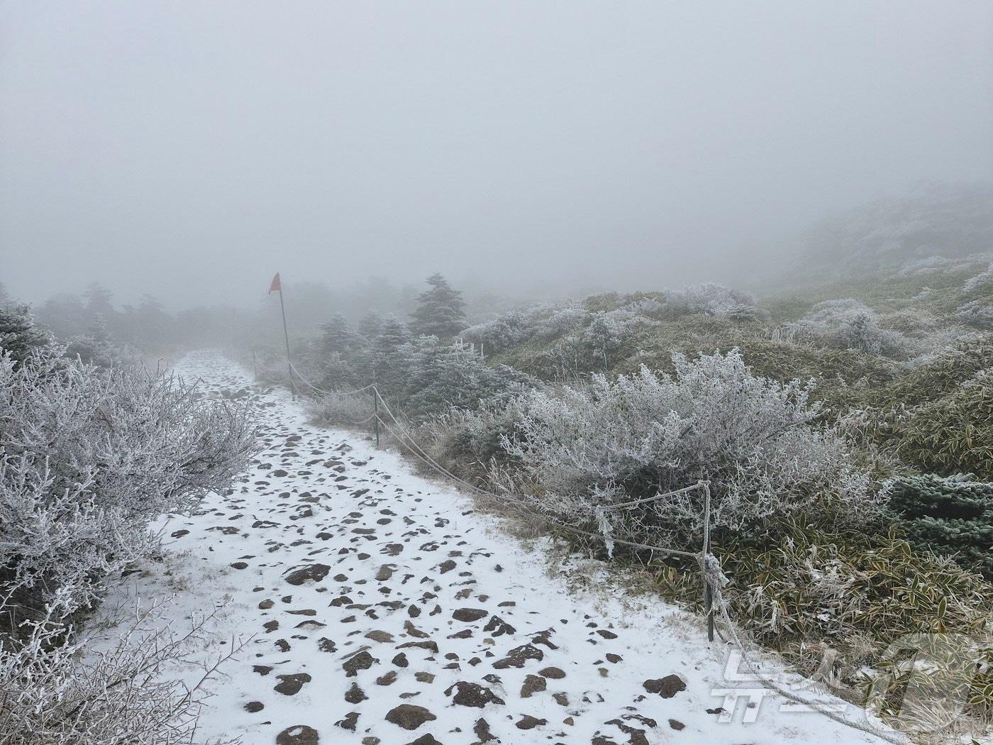 본문 이미지 - 지난 11월18일 눈 내린 제주 한라산.(한라산국립공원 제공. 재판매 및 DB 금지)2025.11.18/뉴스1 ⓒ News1