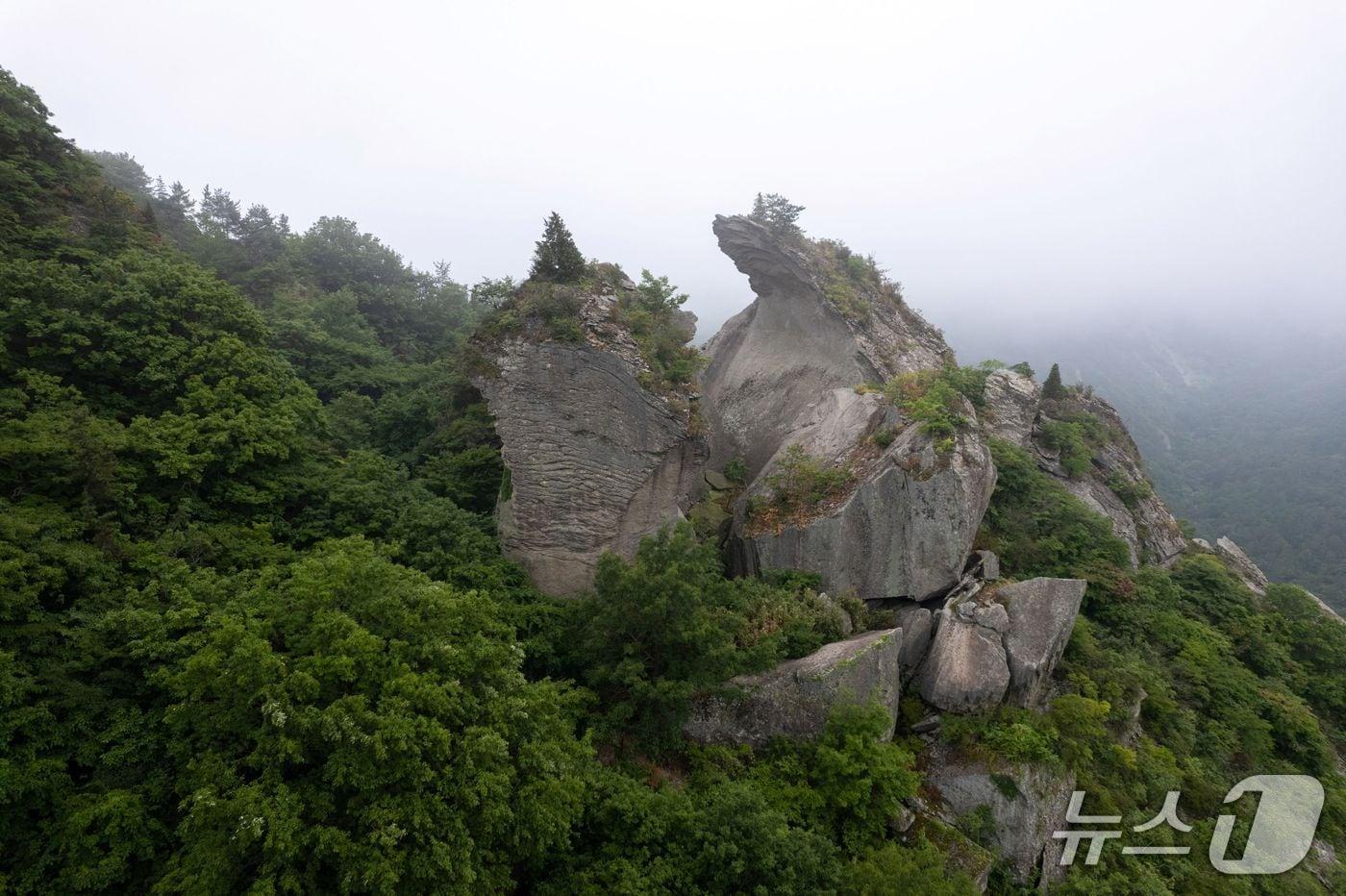 보성 용추동과 칼바위 일대의 전경. &#40;보성군 제공. 재판매 및 DB금지&#41;