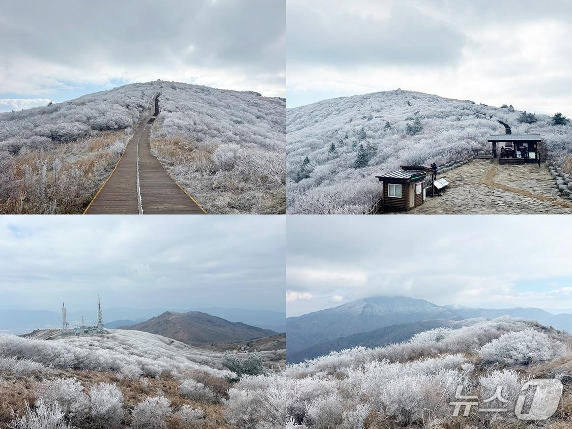 본문 이미지 - 18일 오전 지리산 노고단 일원에 올해 첫 상고대가 형성됐다 &#40;지리산국립공원 제공&#41;