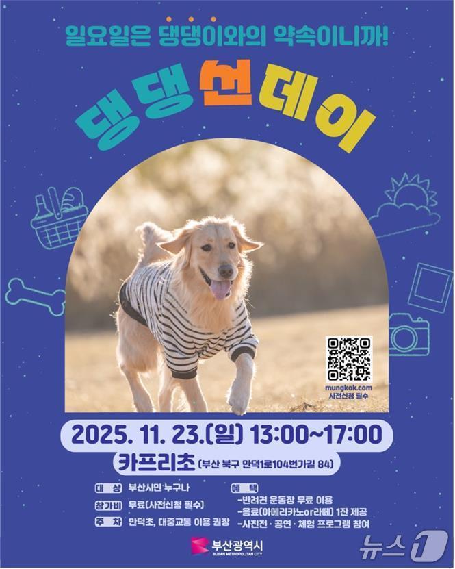 본문 이미지 - '댕댕 선데이' 포스터.(부산시 제공. 재판매 및 DB금지)