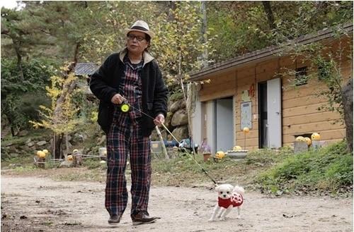 본문 이미지 - TV조선 '퍼펙트 라이프'