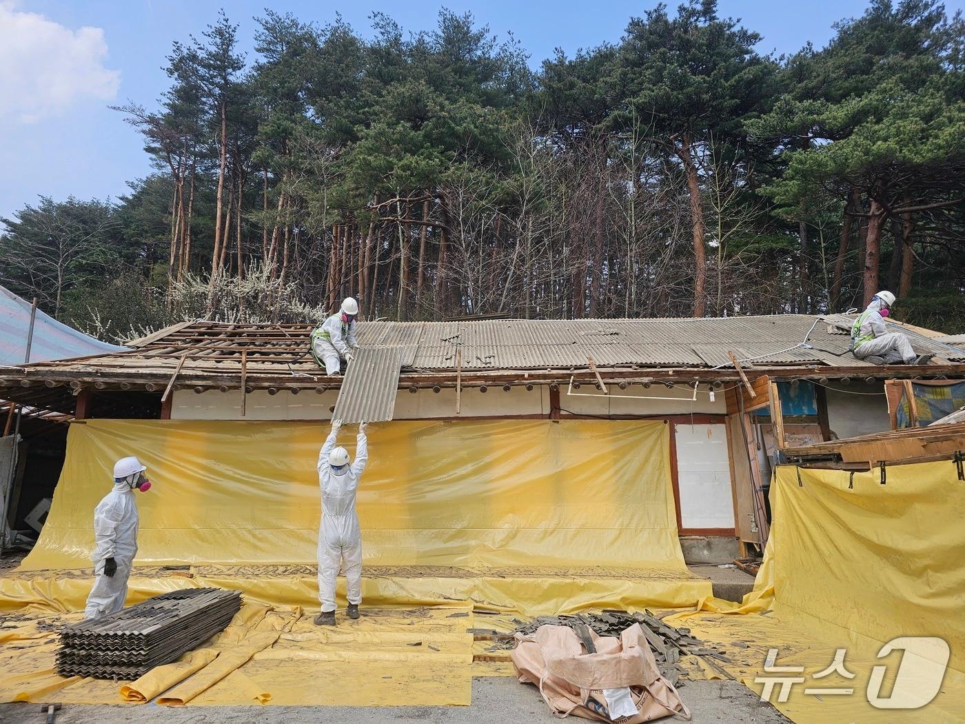 본문 이미지 - 슬레이트 건축물 철거하는 강릉시 관계자들.&#40;강릉시 제공, 재판매 및 DB 금지&#41; 2025.11.19/뉴스1